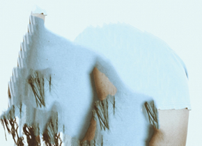 Wild Quiet LP